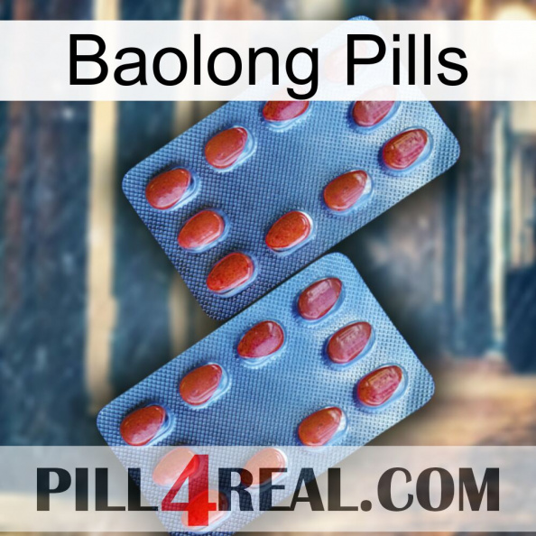 Baolong Pills 05.jpg